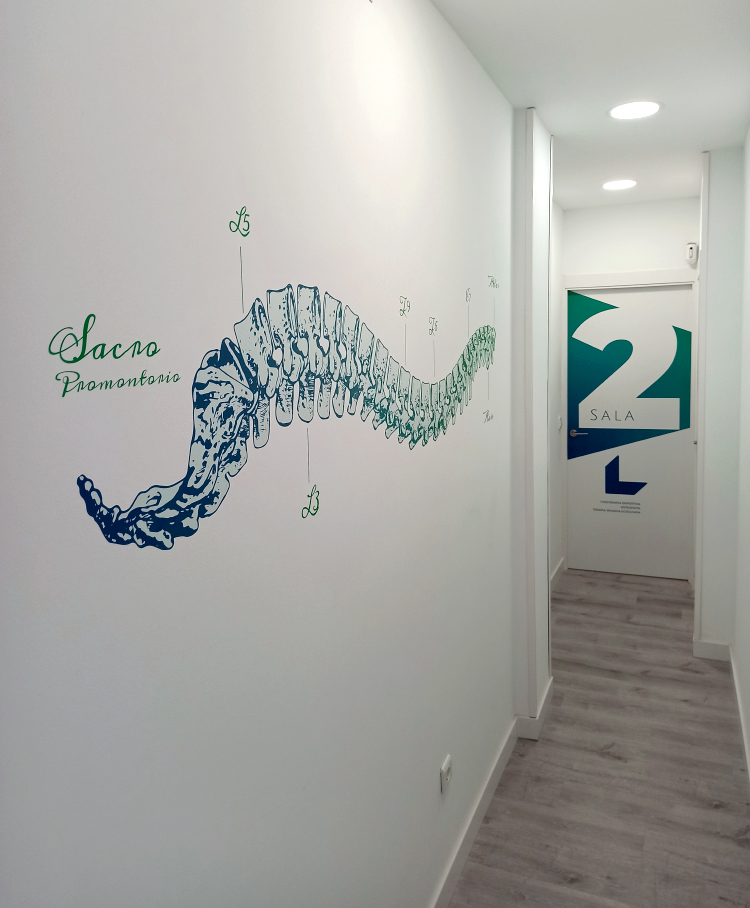 Pasillo con una ilustración de la columna vertebral y la puerta de la sala 2